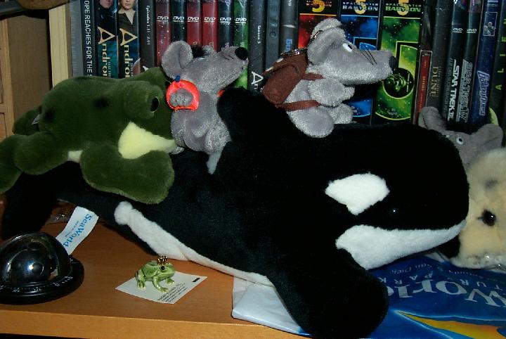 Whale-riding