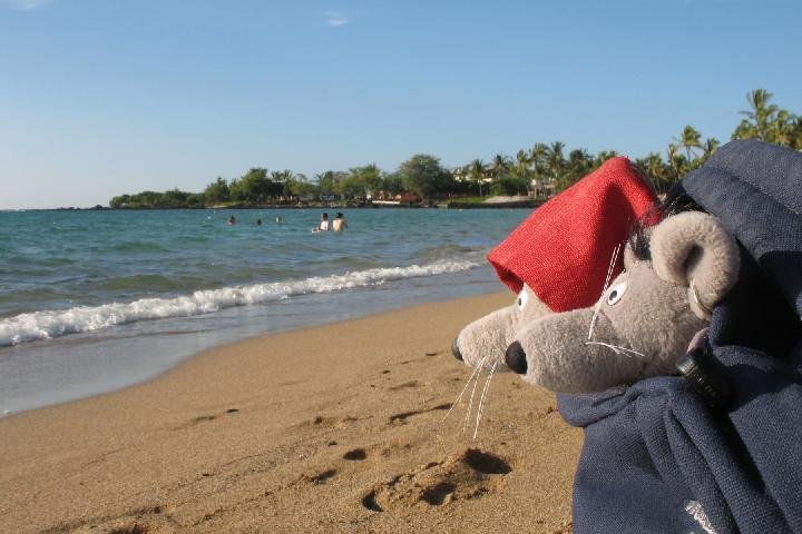 Carl & Friedrich on the beach