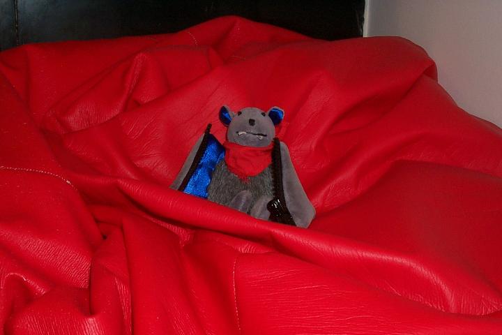 beanbag