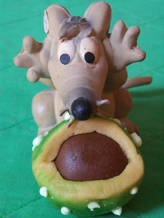 Paul & a chestnut