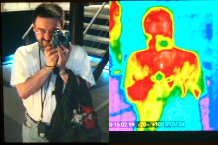 Mice in the Infrared