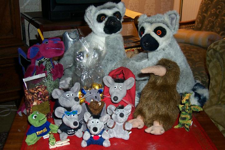 Squeak 2005