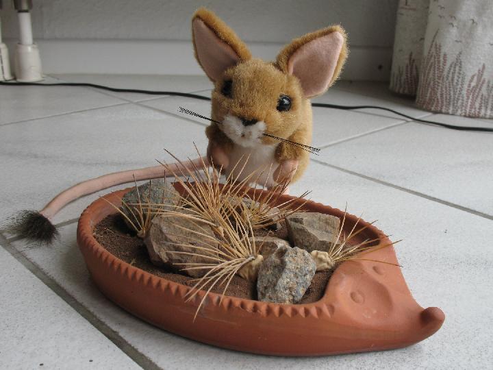 Private Desert