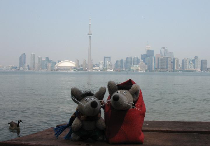 Toronto