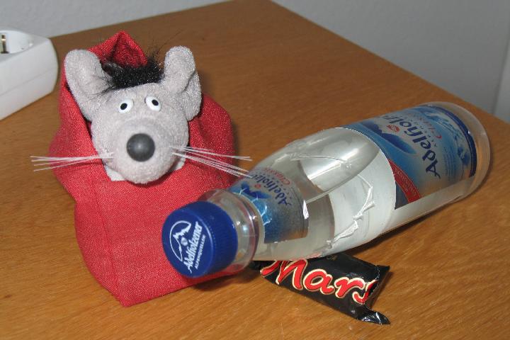 Water on Mars