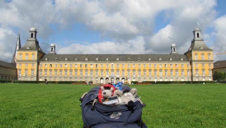 Friedrich-Wilhems-Universität
