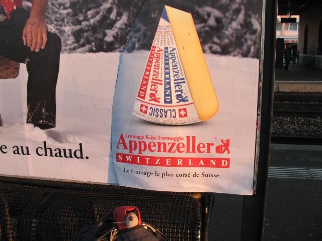 Appenzeller