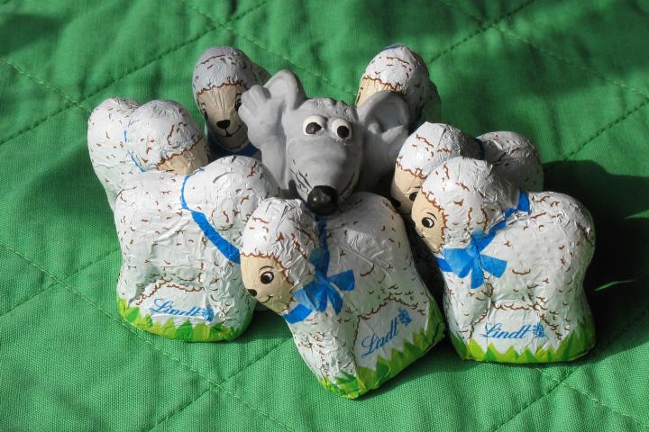 Nick among sheep