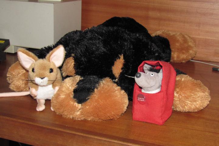 Plush on Paranal
