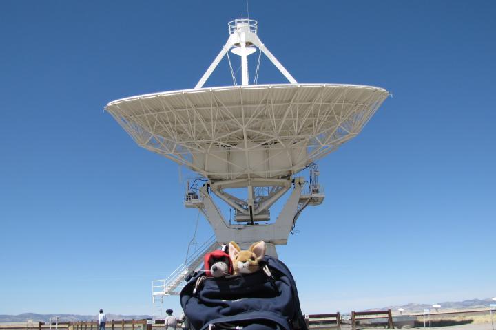 VLA