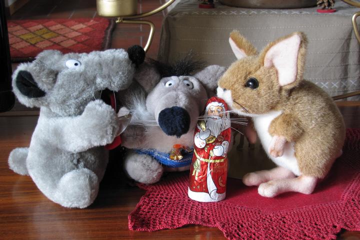 Nikolaus