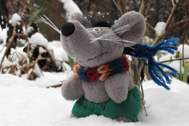 Maxl in the snow