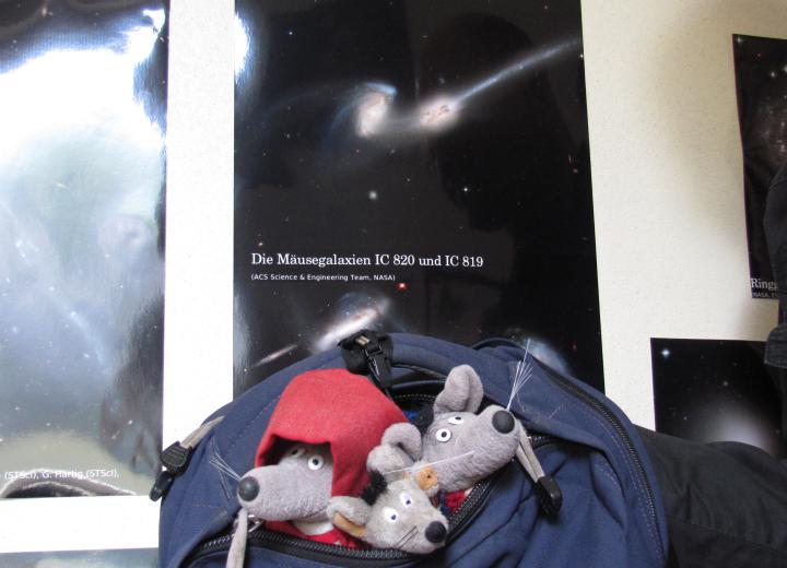 Musegalaxien