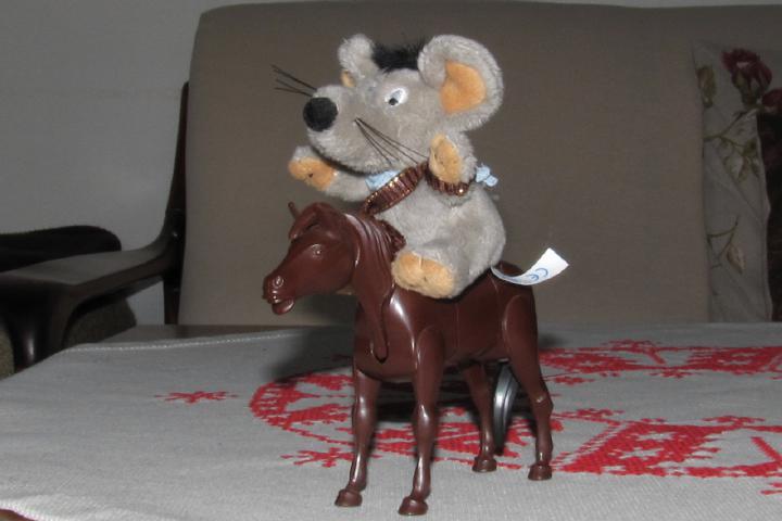 Year of the Horse