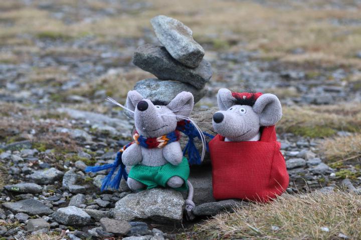 Maxl at the North Cape
