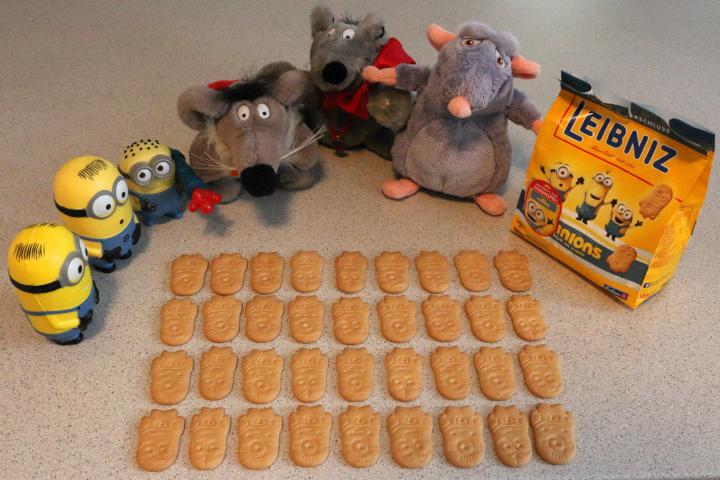 Army of Minions