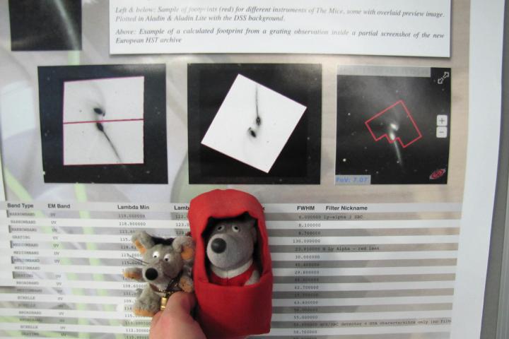 SciOps Mice