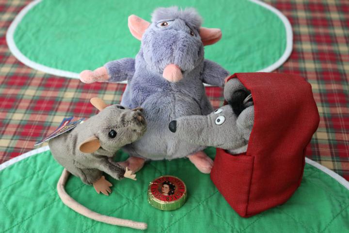Time-Travel Rat