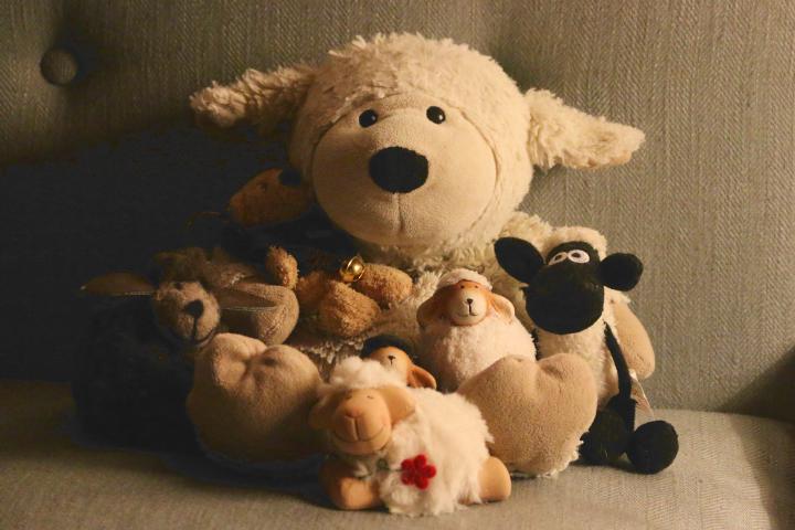 Year of the Sheep