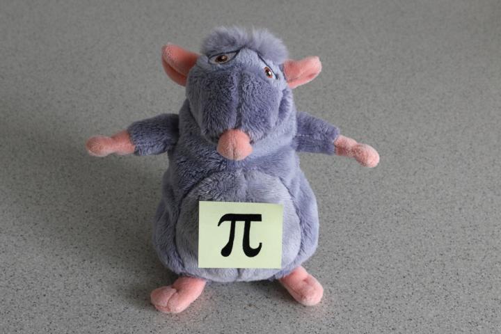 Pi-rat