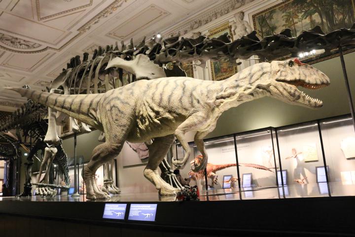 Dinosaur