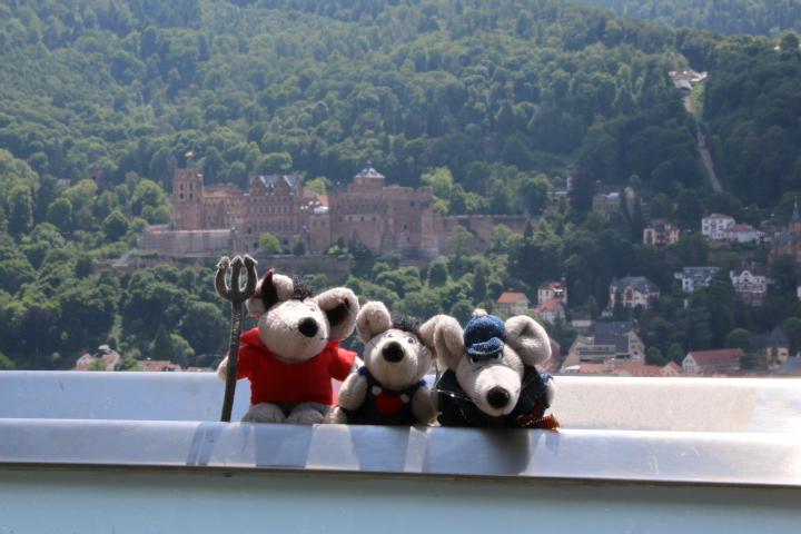 Heidelberg Castle