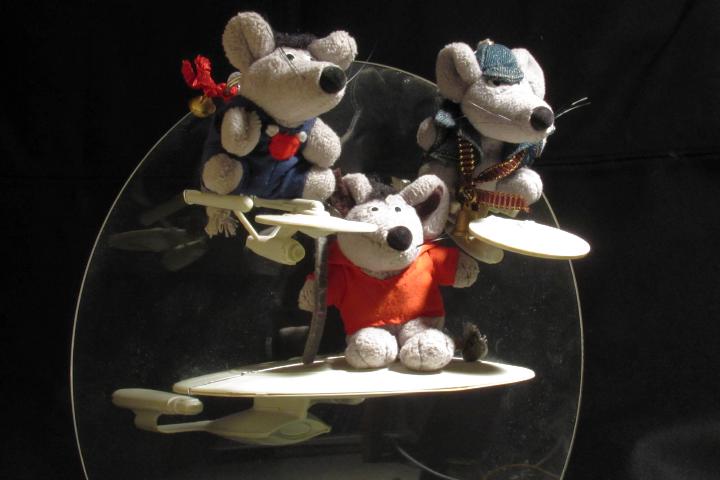 MouseTrek