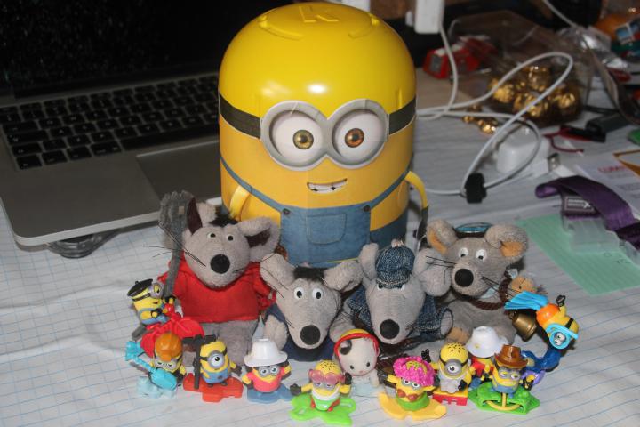 The Minion collection