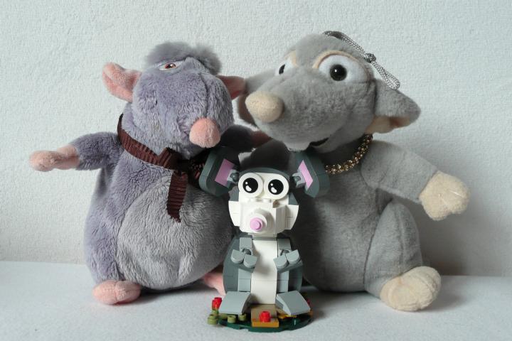 Year of the Rat