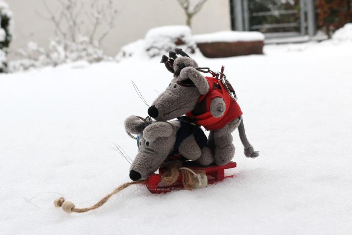 First snow
