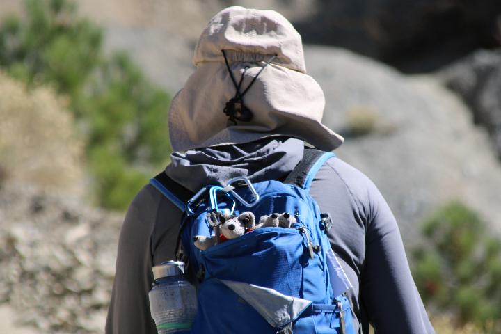 Backpacking