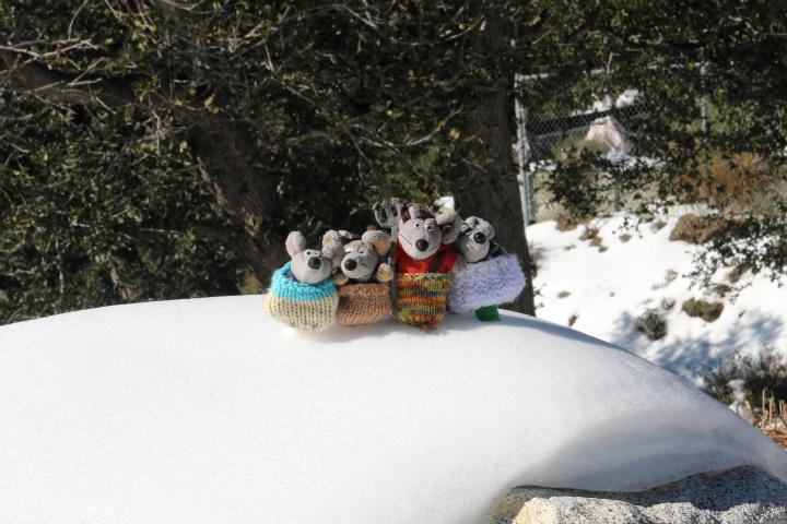 Snow on Mount Wilson