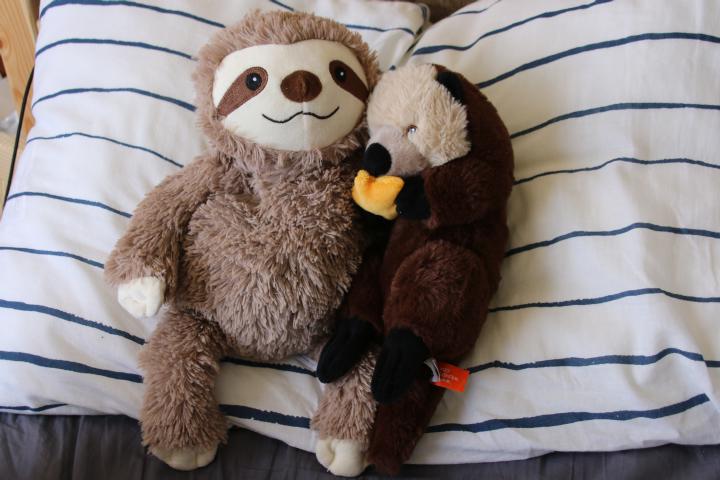 Slothy & Otti