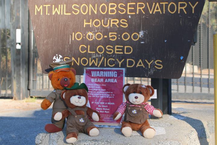 Oktoberfestbears