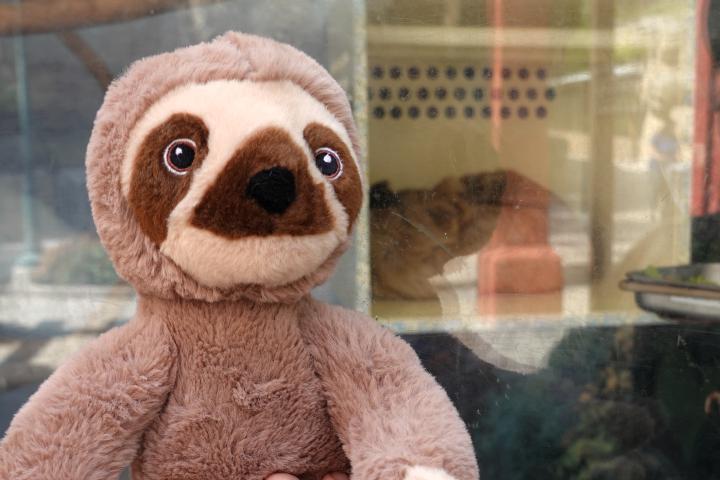 Linny at the zoo