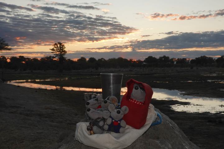 Sundowner