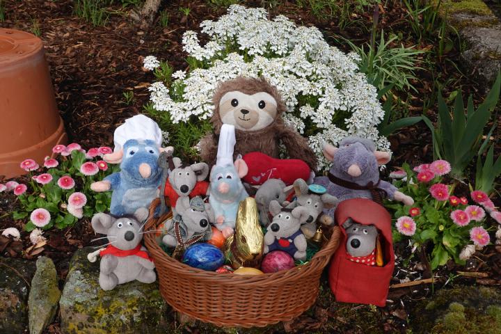 Easter Squeaking